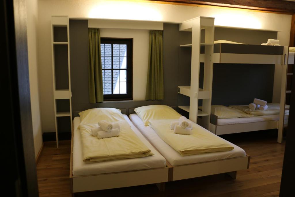 丁克爾斯比爾的住宿－Jugendherberge Dinkelsbühl - Youth Hostel，一间卧室设有两张双层床和一扇窗户。
