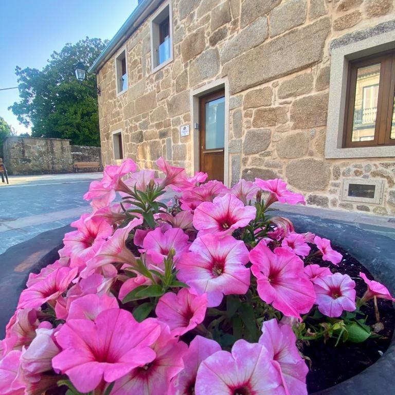 a bunch of pink flowers in front of a building at Marujita Vilanova, alojamiento singular in Villanueva de Arosa