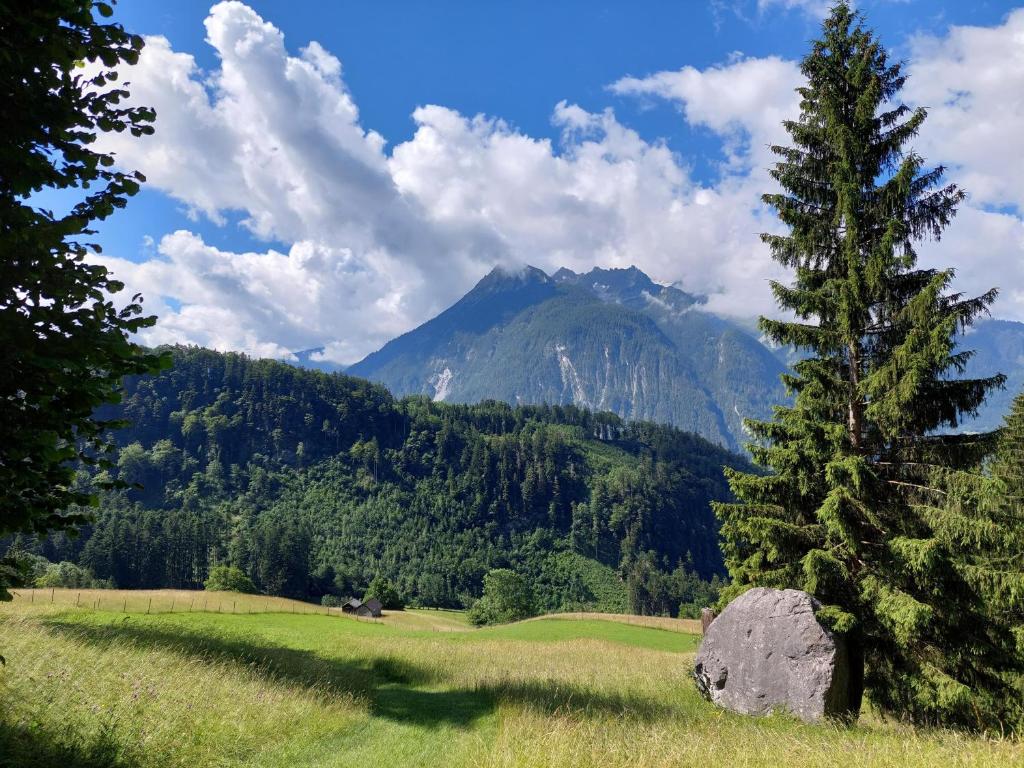 Příroda nedaleko apartmánu