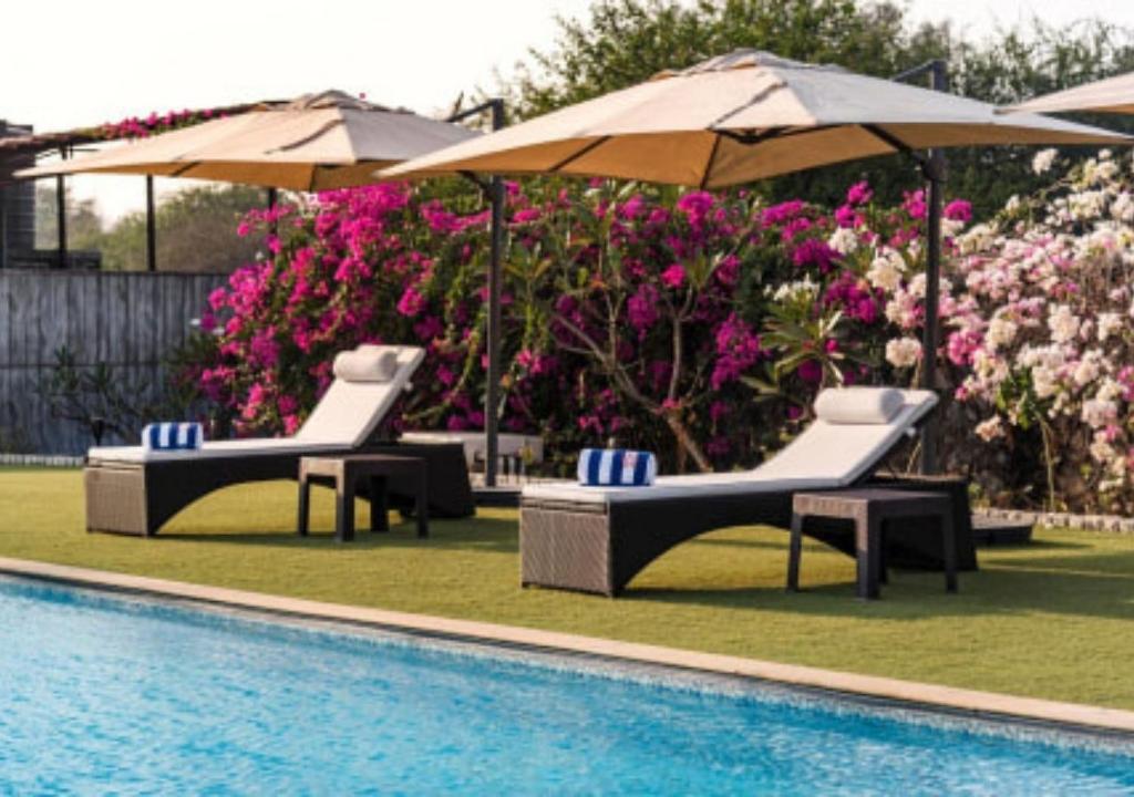 two chairs and umbrellas next to a swimming pool at SaffronStays Brunton House, Alibaug - luxury pool villa near Awas Beach in Alibaug