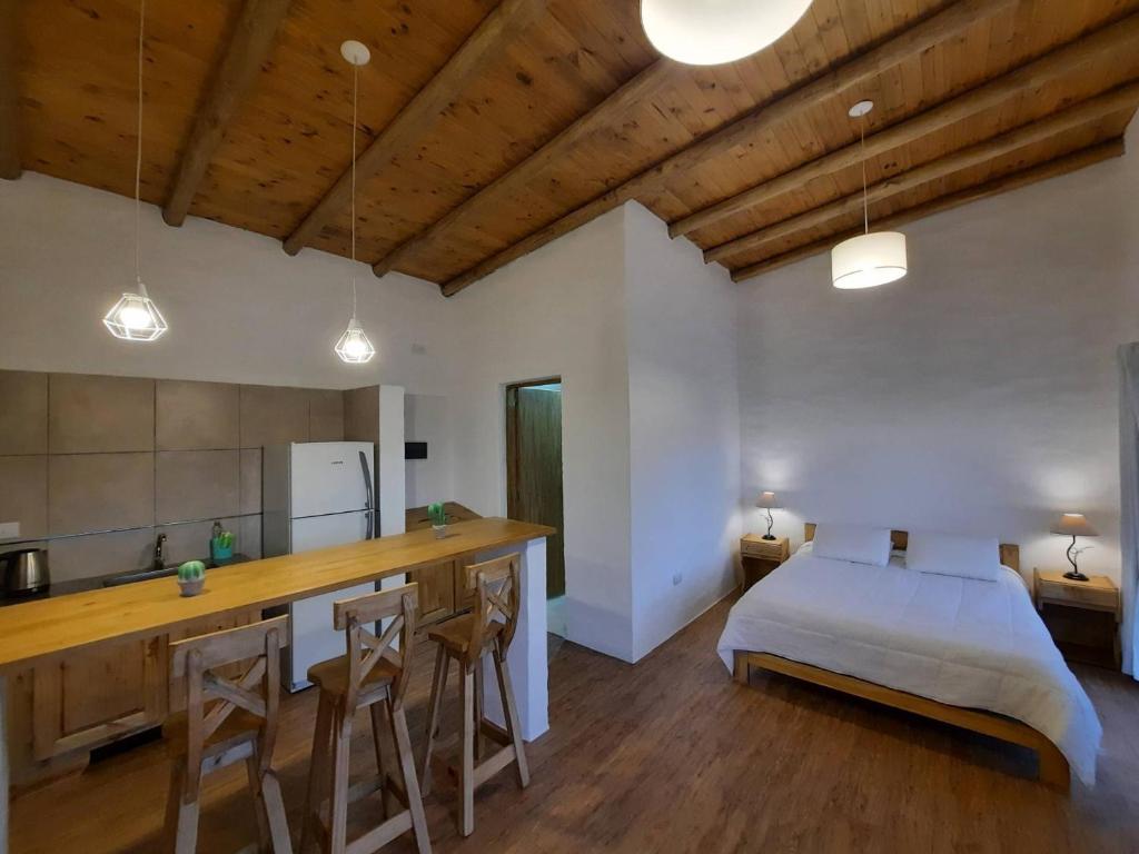 een keuken en een woonkamer met een bed en een aanrecht bij Finca Los Racimos - Casa Syrah in San Rafael