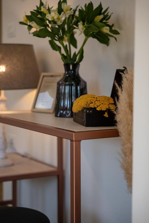 Fotografie z fotogalerie ubytování Apartments Pausa v destinaci Žminj