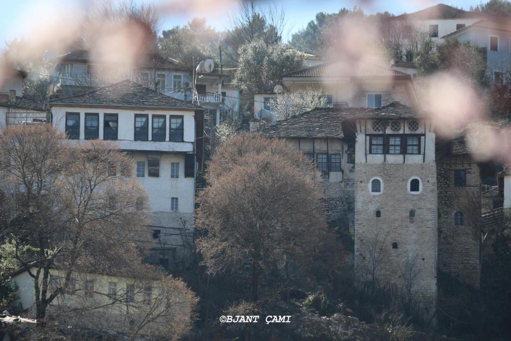Braja House - Imazhi 9