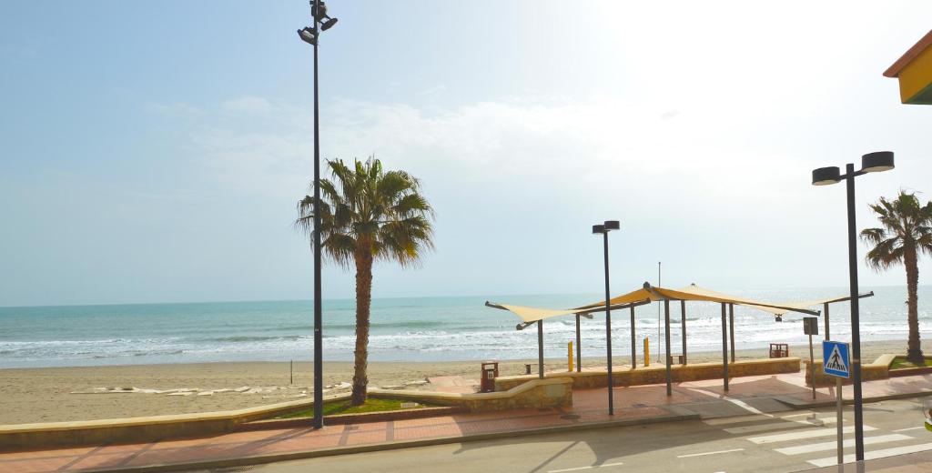 フエンヒロラにあるFuengirola, Primera linea de playaのヤシの木と海のビーチ