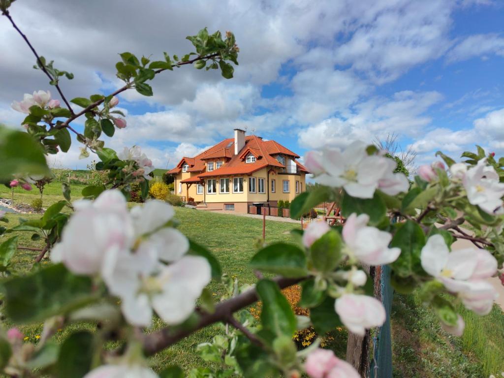 ゴウビエにあるAgroturystyka "Pod Ptasią Górą"のピンクの花の丘の上の家