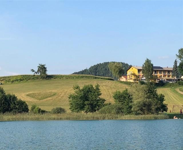 Příroda nedaleko apartmánu