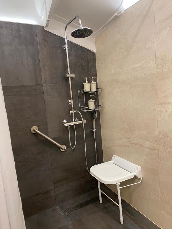 a shower stall with a toilet in a bathroom at Chez Hélène 3 étoiles, labellisé disabled PMR,pour 4 personnes chiens bienvenus-pet friendly in Bourg-Madame