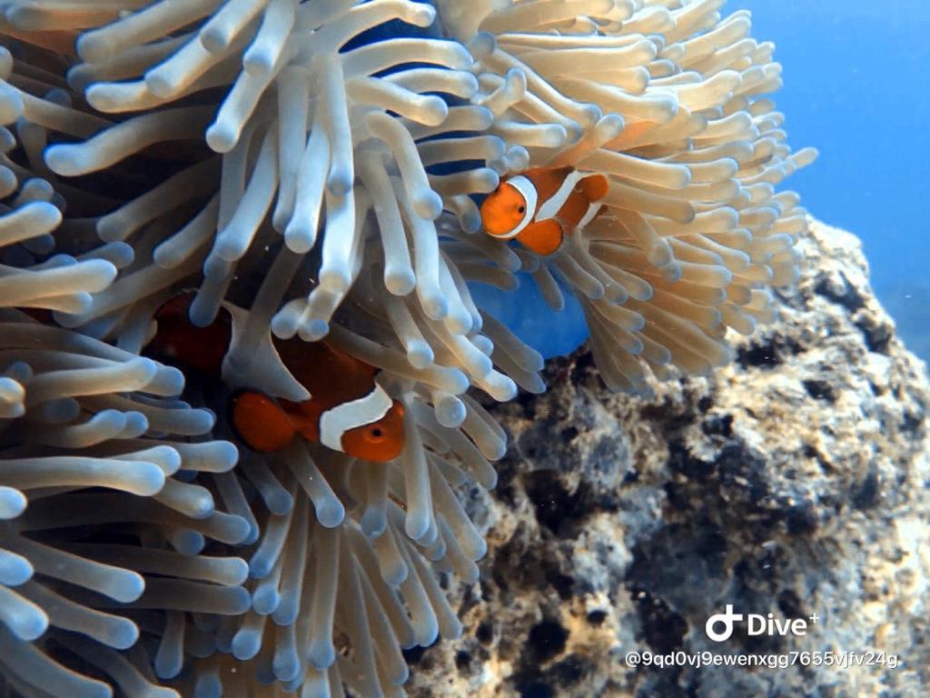 Lucky Sun Patong - Resim 28