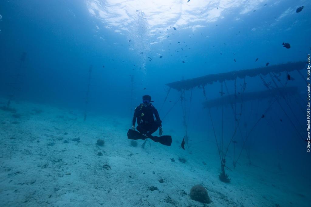 Lucky Sun Patong - Resim 6