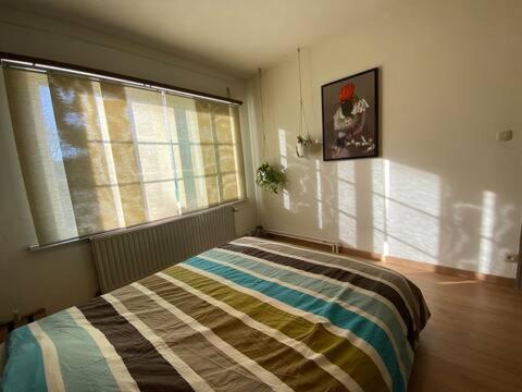 een slaapkamer met een bed voor een raam bij Ruime woning met 4 slaapkamers nabij Antwerpen en haven in Brasschaat