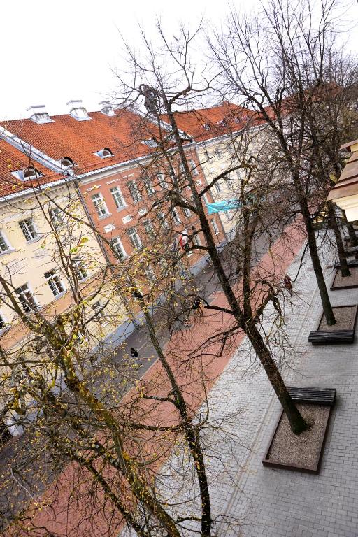 Fotografie z fotogalerie ubytování Culture Apartment Tartu v destinaci Tartu
