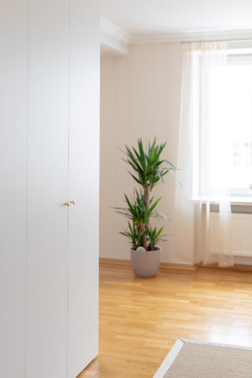 Fotografie z fotogalerie ubytování Culture Apartment Tartu v destinaci Tartu