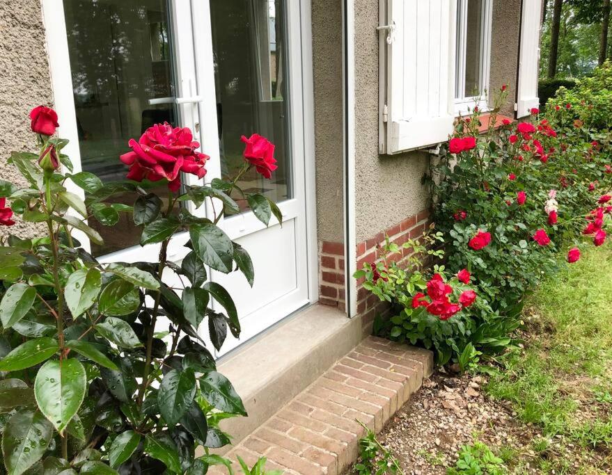 Vonkajšia záhrada v ubytovaní Villa Marie-Lou entièrement rénovée