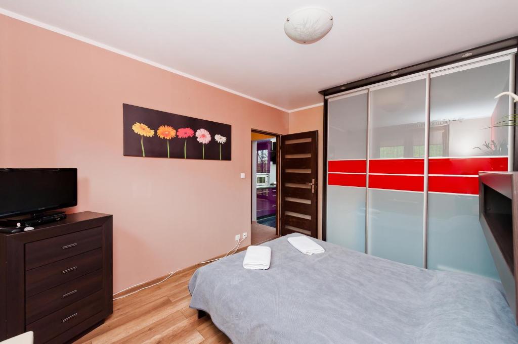Televízia a/alebo spoločenská miestnosť v ubytovaní Apartamenty Sun & Snow Poronin