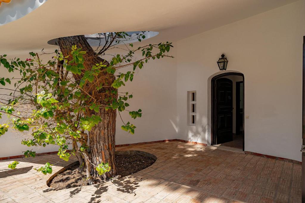 Zahrada ubytování Villa Alicia - Vilamoura
