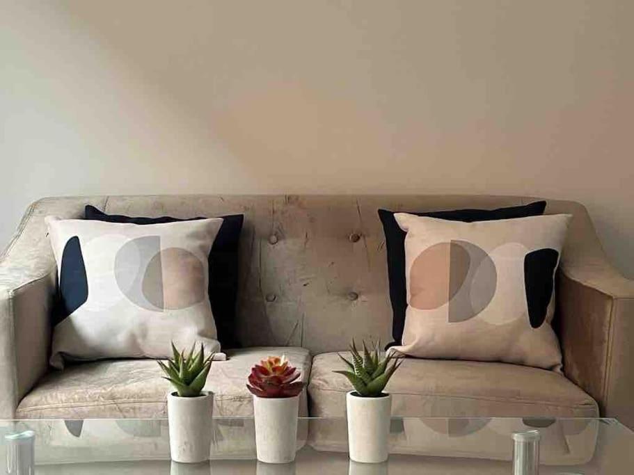 a couch with two pillows and two potted plants at Lavender house, beautiful central townhouse in Leamington Spa