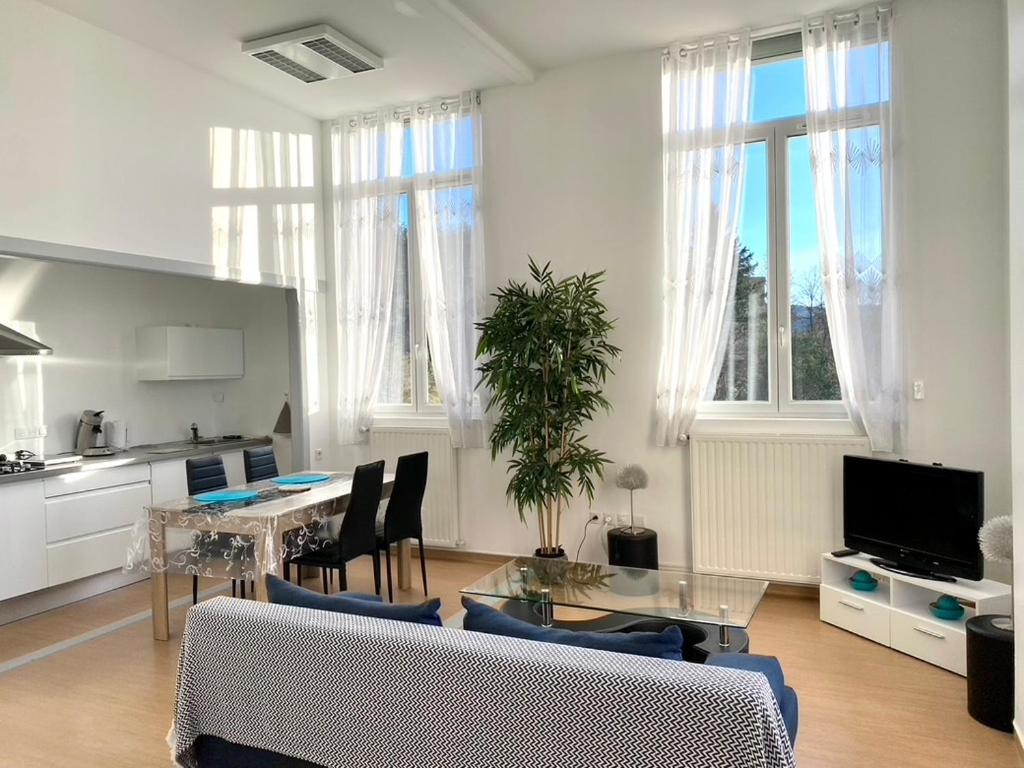 Demeure des Dentelles - Appartement Met één Slaapkamer