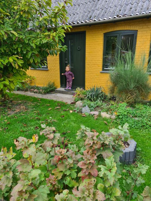 Zahrada ubytování Inspiration Center Denmark, Bed & Breakfast