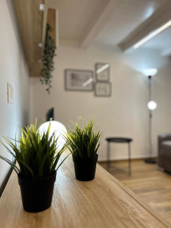 LA FORMICA APARTMENT - 5