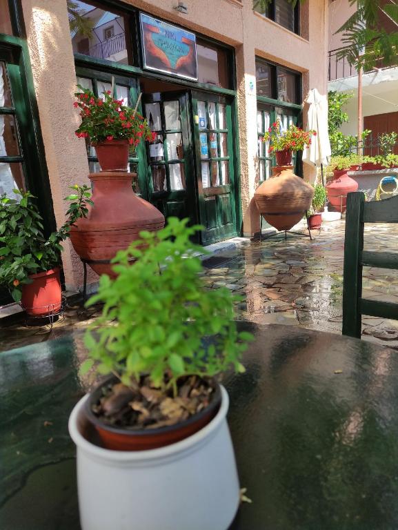 Fotografie z fotogalerie ubytování Pension Niki v destinaci Skála Sykaminéas