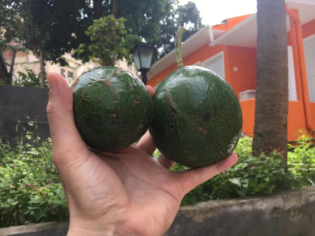 Imagem da galeria de Maison Champs-Élysées em São Paulo