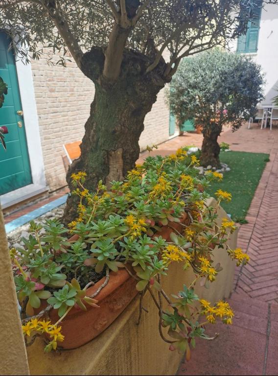 A garden outside B&B La Chicca