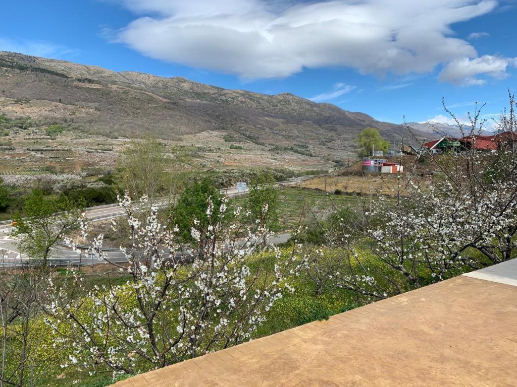 una vista de un campo con flores blancas y una montaña en Mirador del Jerte, en Valdastillas