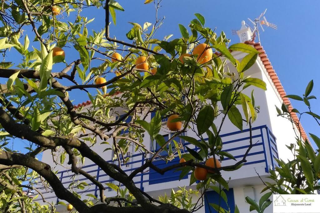 uma laranjeira em frente a um edifício em Casa D'Avó (1º Andar) em Altura