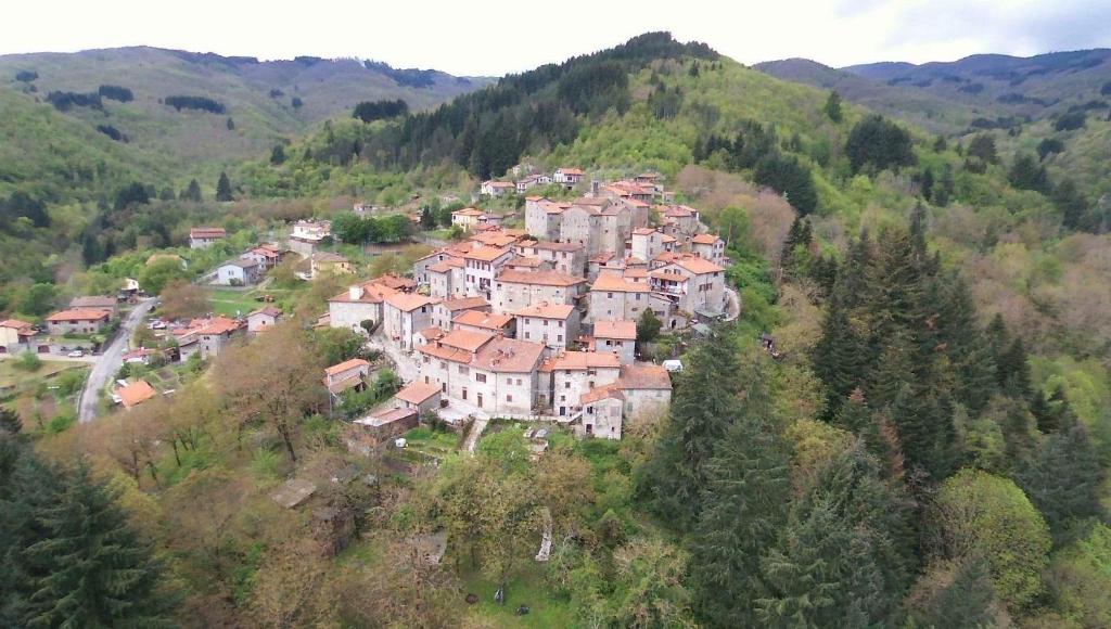 un pequeño pueblo en una colina en las montañas en Casa Carda di Lai Loretta, en Castel Focognano