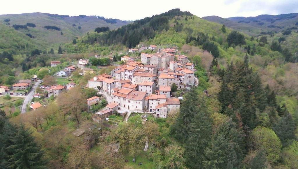 Castel Focognano – Photos 3