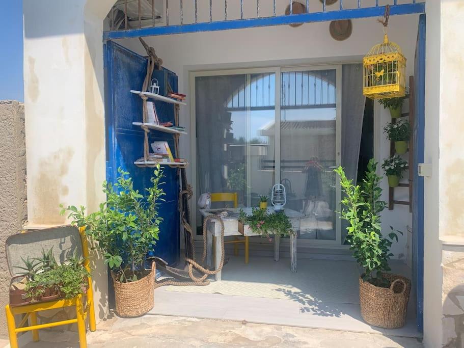 a front door of a house with potted plants at Holiday Home Sicily Talia che Bed-du in Punta Braccetto