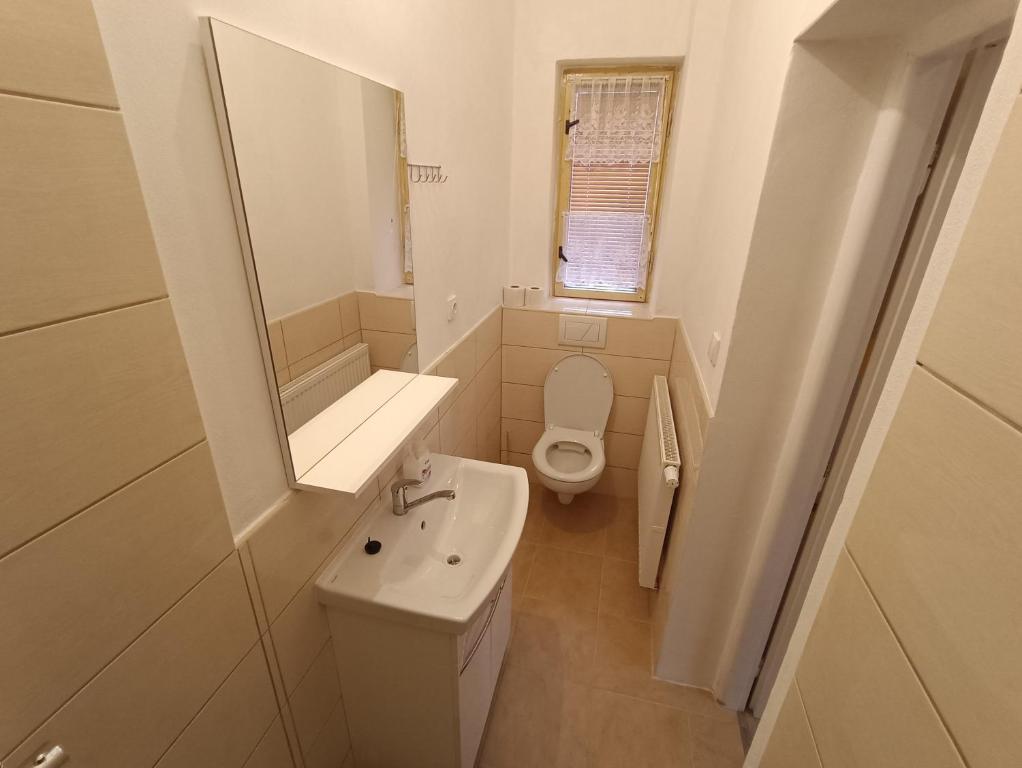 Koupelna v ubytování Apartmán Horní Slavkov Hodinářství