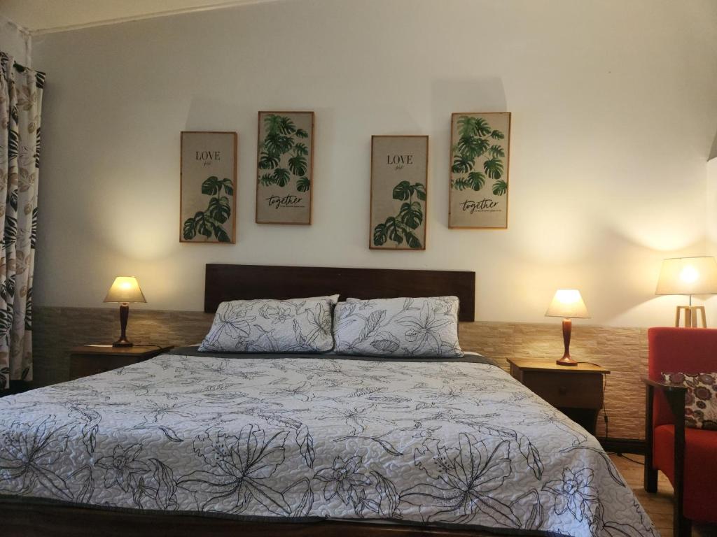 Hotel La Palapa - Suite 1