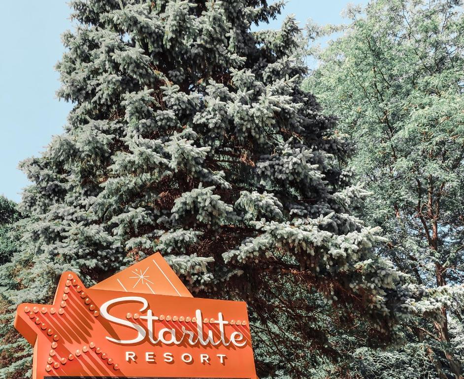 um sinal de Starbucks em frente a uma árvore de Natal em Starlite Resort em Saugatuck