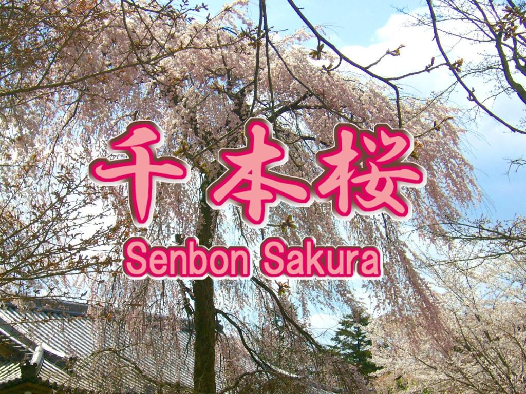 una señal para un restaurante saakura sakuraatown en Uji - House - Vacation STAY 9753, en Uji