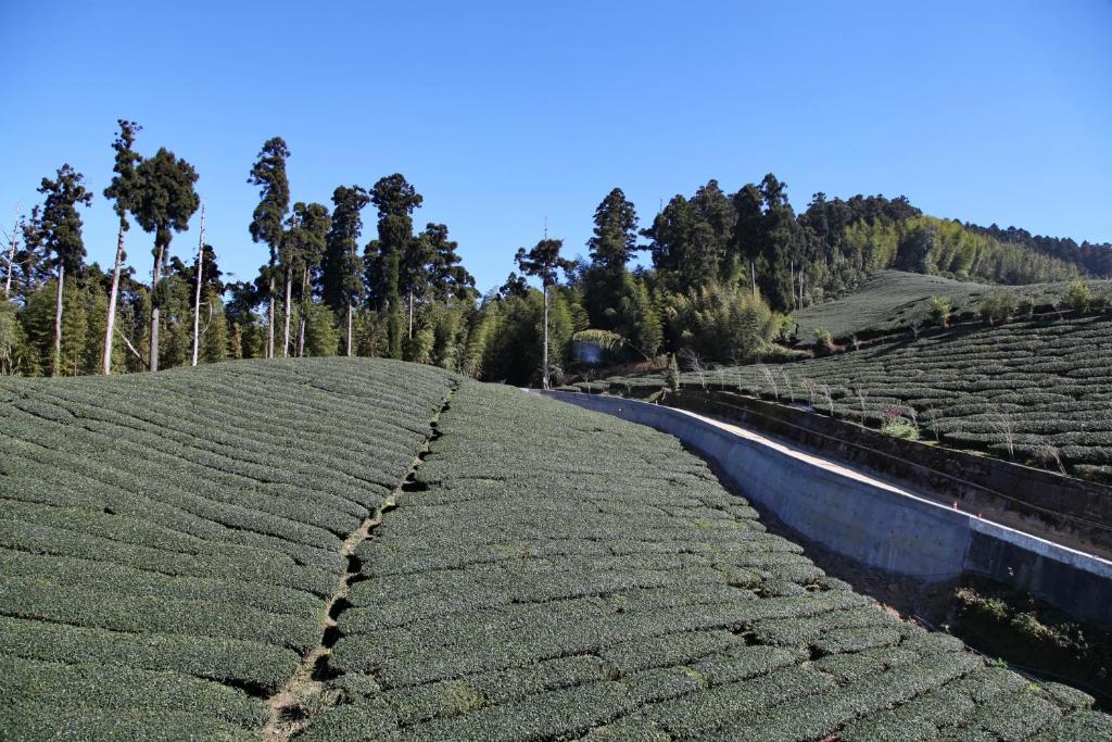 Gallery image of Alishan B&amp;B YunMinGi in Fenqihu