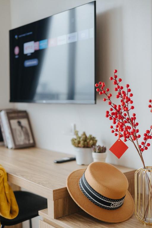 TV a/nebo společenská místnost v ubytování Myrcella Urban Studio