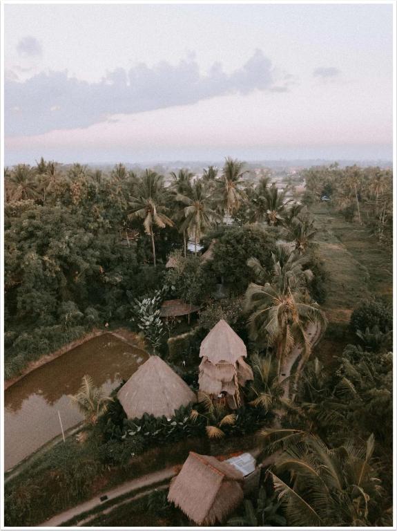 Firefly Eco Lodge