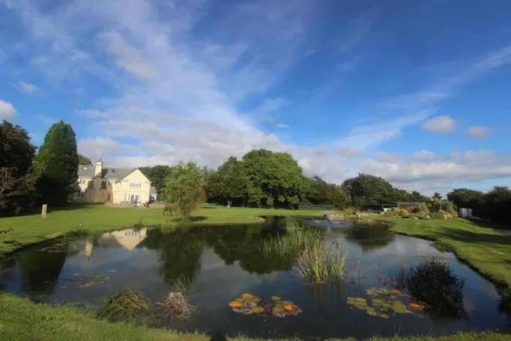 a view of a pond in front of a house at Cornish country getaway in Callington