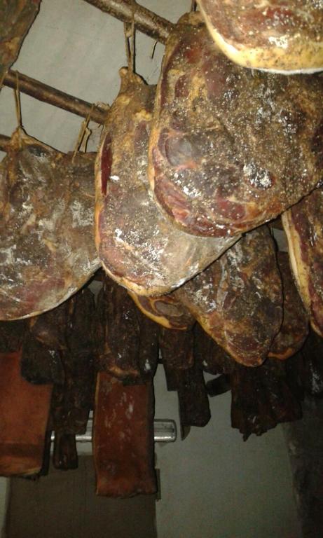 Kép Birkenhof szállásáról Sludernóban a galériában