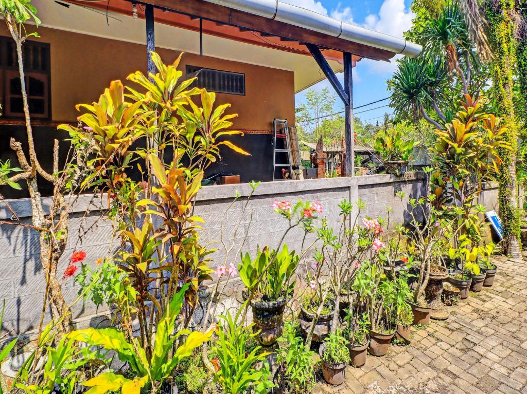 Zahrada ubytování SPOT ON 92399 Hotel Sekar Jagat Near Pantai Baluk Rening