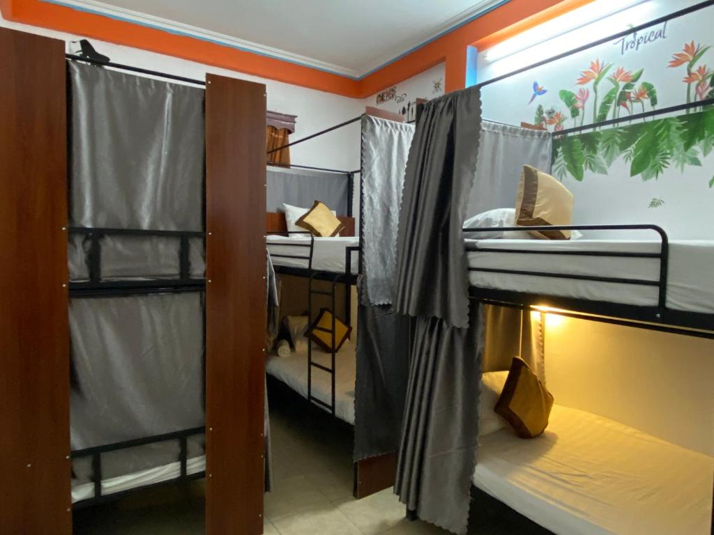 Katil dua tingkat atau katil-katil dua tingkat dalam bilik di Alex Hostel