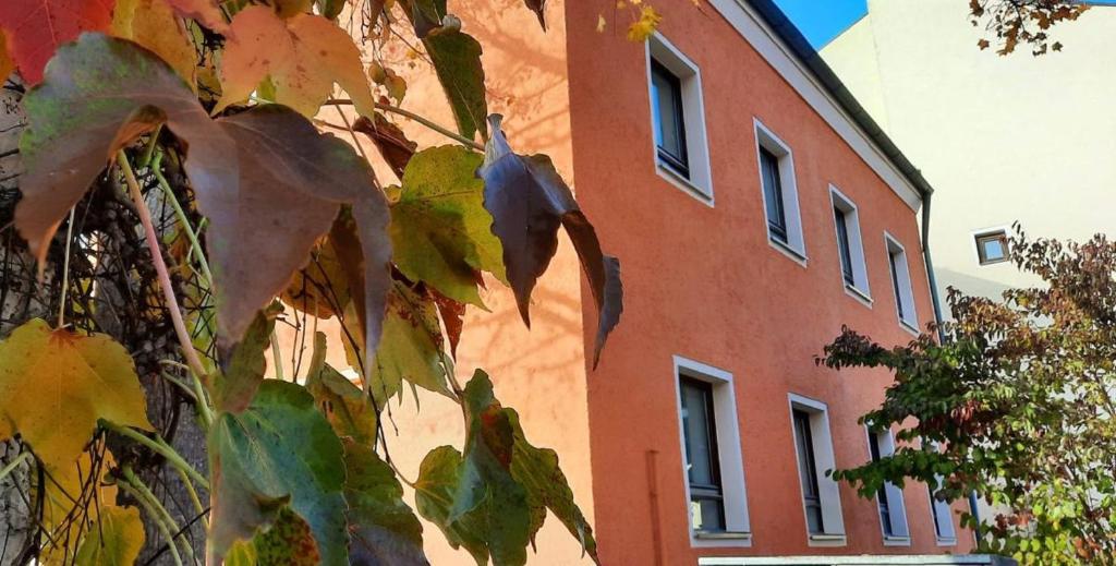 um edifício de tijolos vermelhos com uma árvore em frente em Parkside Appartement em Grafenau