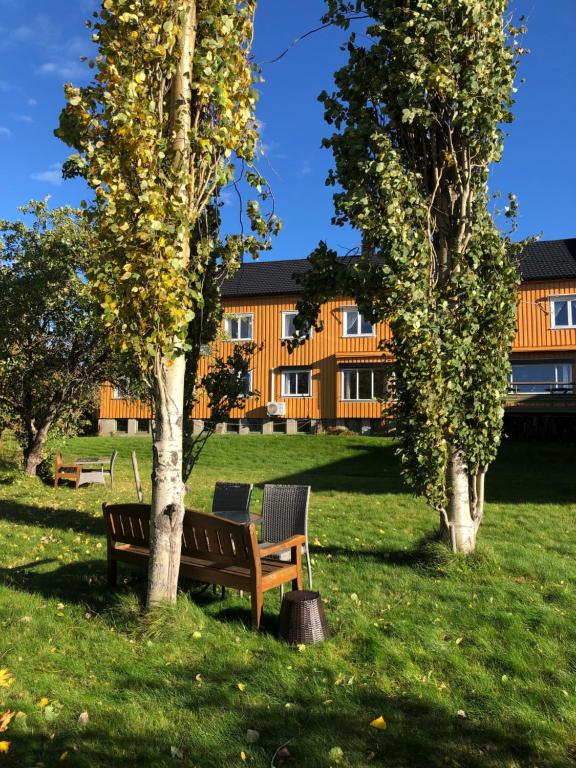 una panchina di legno seduta tra due alberi in un campo di Nye Heimen Overnatting a Namsos