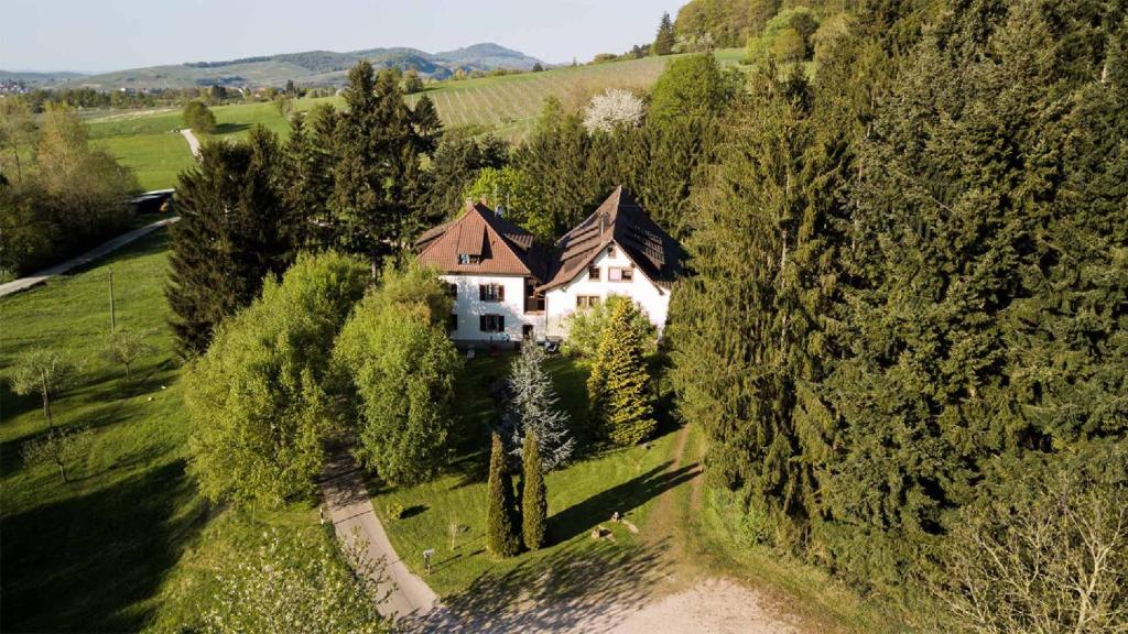 z góry widok na dom na wzgórzu z drzewami w obiekcie Gästehaus Kaltenbach w mieście Staufen im Breisgau