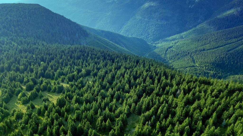 Bouda Klínovka - Resim 20