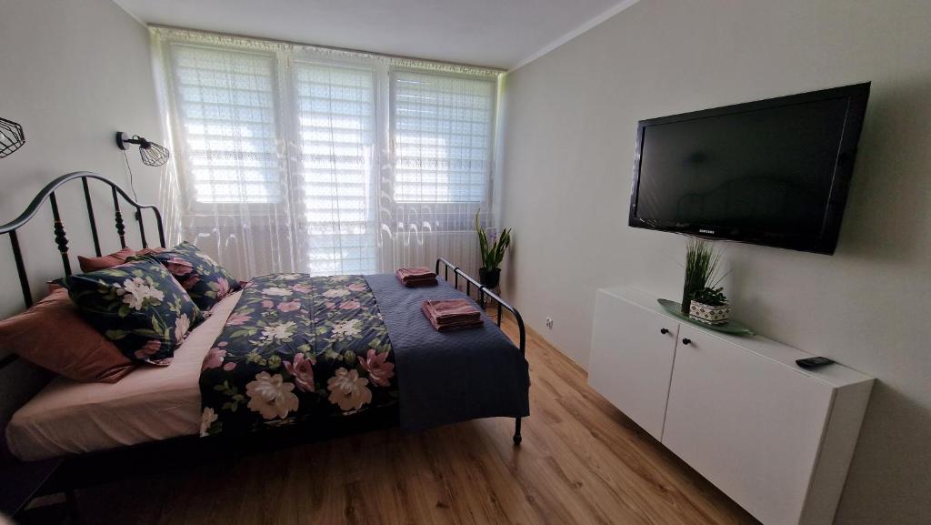 a bedroom with a bed and a flat screen tv at Apartament SPOKO-LOKO in Stronie Śląskie