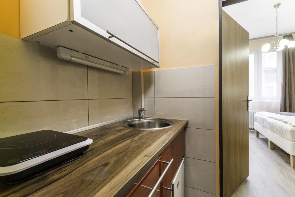 Rezidence Davids Apartments - 8