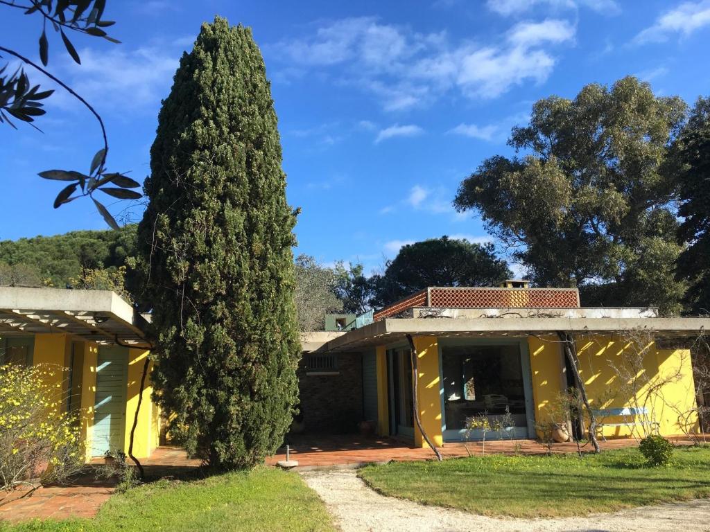 a large tree in front of a yellow house at Les Pamplemousses charmante villa proche de la mer in Porquerolles