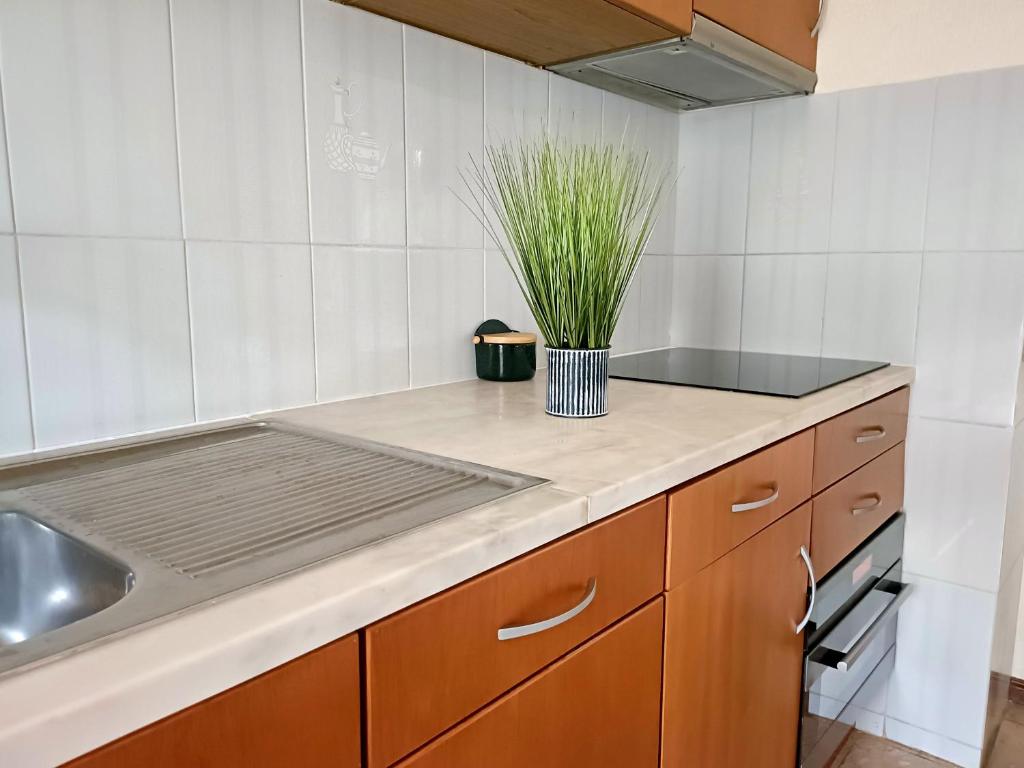 Kuchyň nebo kuchyňský kout v ubytování Vau View - Sea View - Portimão